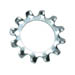 EXTERNAL TOOTH LOCK WASHER